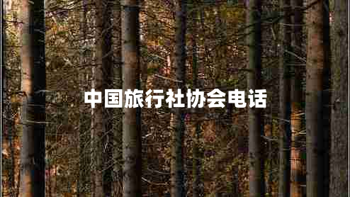 中國旅行社協(xié)會(huì )電話(huà)