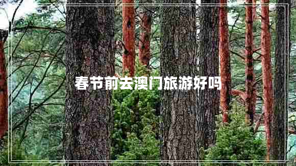 春節前去澳門(mén)旅游好嗎