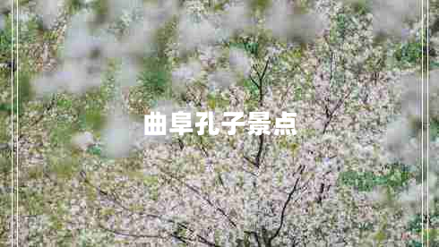 曲阜孔子景點(diǎn)