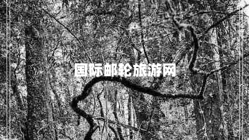 國際郵輪旅游網(wǎng)