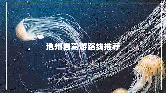 池州自駕游路線(xiàn)推薦