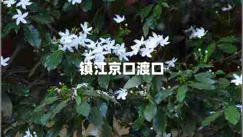 鎮江京口渡口