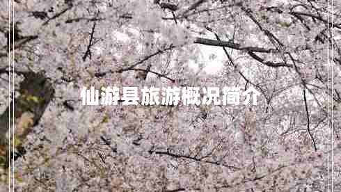 仙游縣旅游概況簡(jiǎn)介