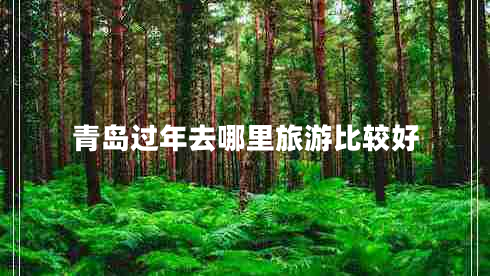 青島過(guò)年去哪里旅游比較好