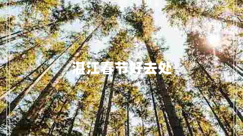 湛江春節(jié)好去處