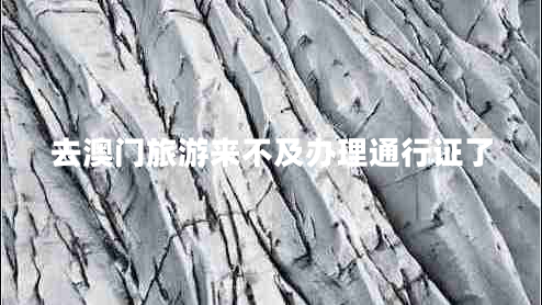 去澳門(mén)旅游來(lái)不及辦理通行證了