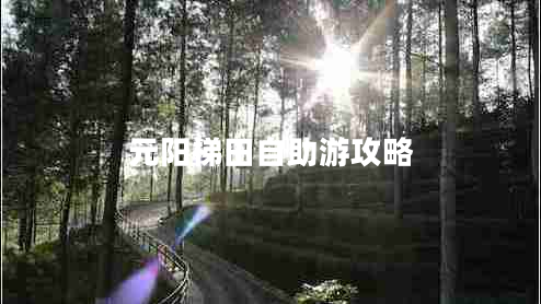 元陽(yáng)梯田自助游攻略