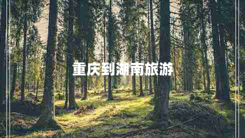 重慶到湖南旅游