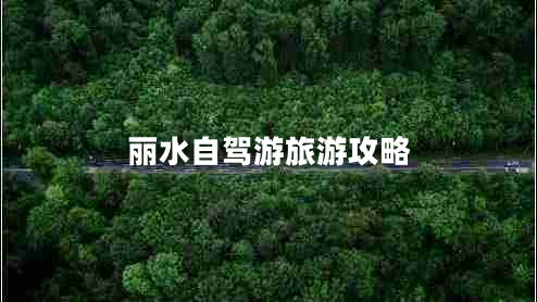 麗水自駕游旅游攻略