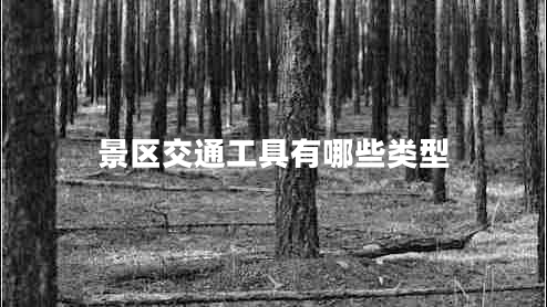 景區交通工具有哪些類(lèi)型