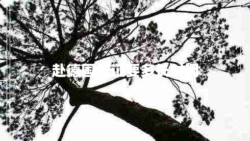 赴德國簽證要多長(cháng)時(shí)間