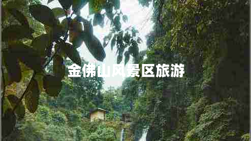 金佛山風(fēng)景區旅游