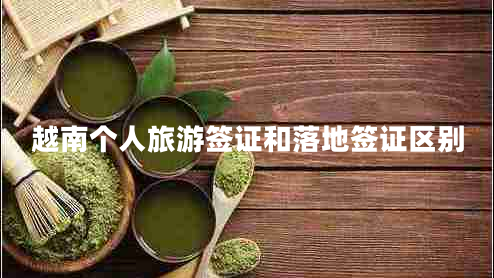 越南個(gè)人旅游簽證和落地簽證區別