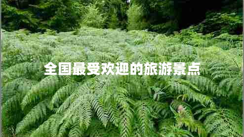 全國最受歡迎的旅游景點(diǎn)