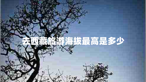 去西藏旅游海拔最高是多少