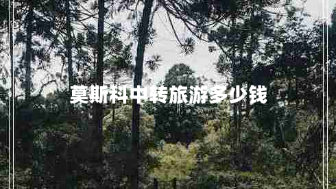 莫斯科中轉旅游多少錢(qián)