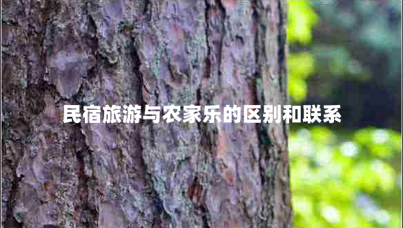 民宿旅游與農(nóng)家樂(lè)的區(qū)別和聯(lián)系