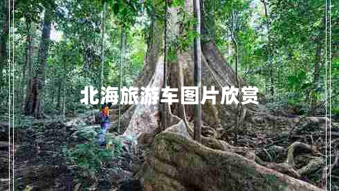 北海旅游車(chē)圖片欣賞
