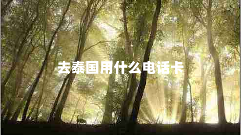 去泰國用什么電話(huà)卡
