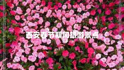 西安春節期間旅游景點(diǎn)