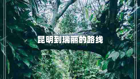 昆明到瑞麗的路線(xiàn)