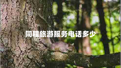 同程旅游服務(wù)電話(huà)多少