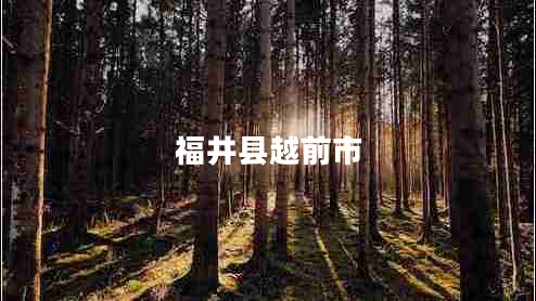 福井縣越前市