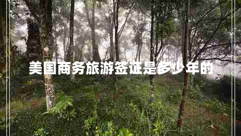 美國商務(wù)旅游簽證是多少年的