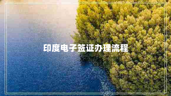 印度電子簽證辦理流程