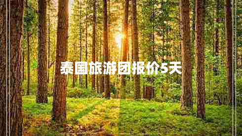 泰國旅游團報價(jià)5天