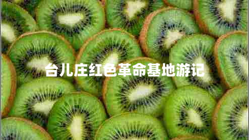 臺兒莊紅色革命基地游記