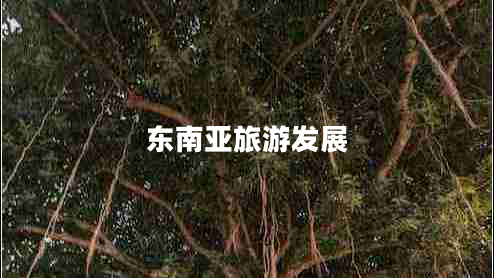 東南亞旅游發(fā)展