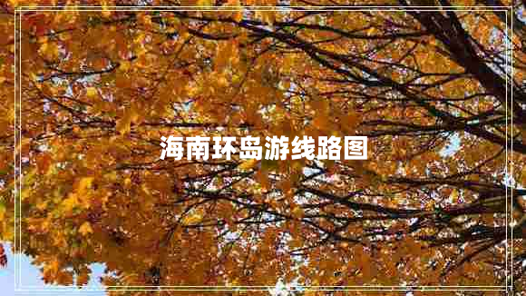 海南環(huán)島游線(xiàn)路圖