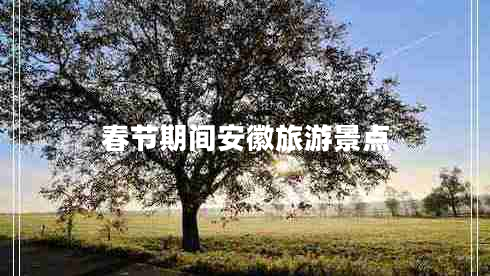 春節期間安徽旅游景點(diǎn)