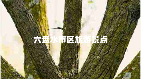 六盤(pán)水市區旅游景點(diǎn)