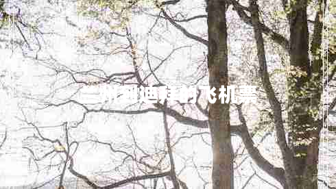 蘭州到迪拜的飛機票