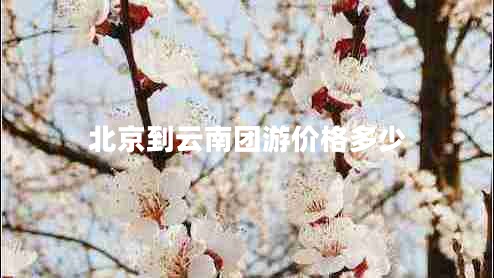北京到云南團游價(jià)格多少