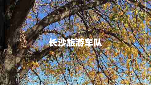 長(cháng)沙旅游車(chē)隊