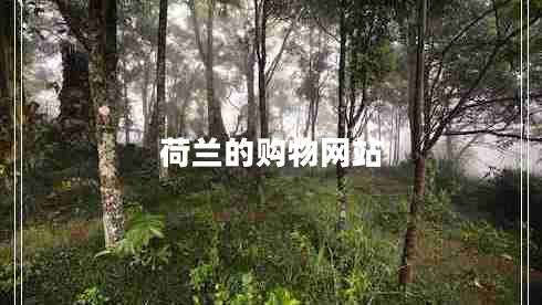 荷蘭的購物網(wǎng)站