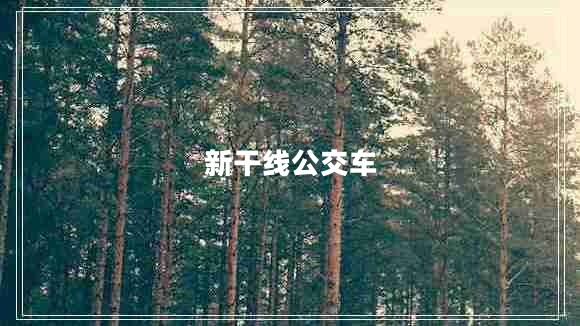 新干線(xiàn)公交車(chē)