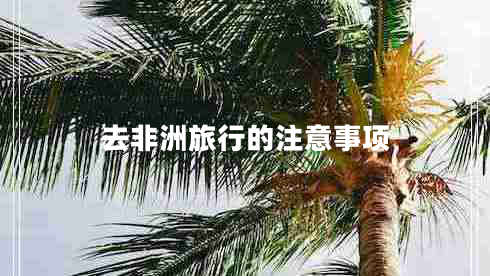 去非洲旅行的注意事項