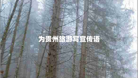 為貴州旅游寫(xiě)宣傳語(yǔ)