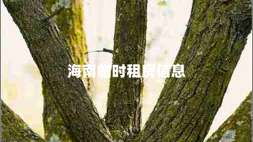 海南臨時(shí)租房信息