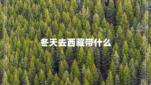 冬天去西藏帶什么