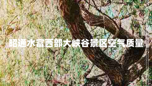昭通水富西部大峽谷景區空氣質(zhì)量