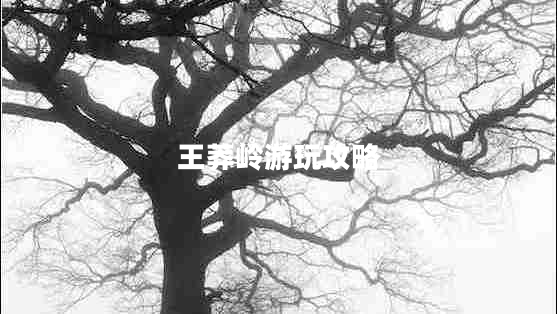 王莽嶺游玩攻略