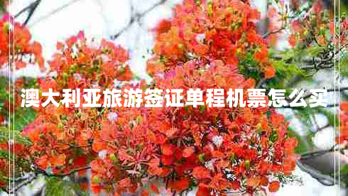 澳大利亞旅游簽證單程機票怎么買(mǎi)