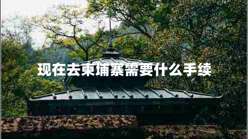 現在去柬埔寨需要什么手續