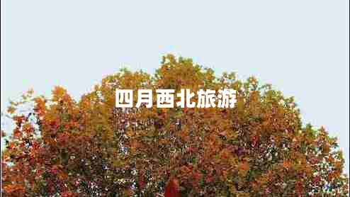 四月西北旅游