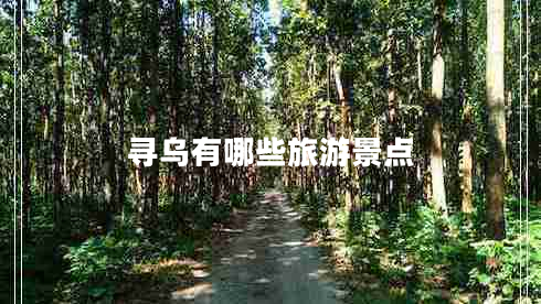 尋烏有哪些旅游景點(diǎn)